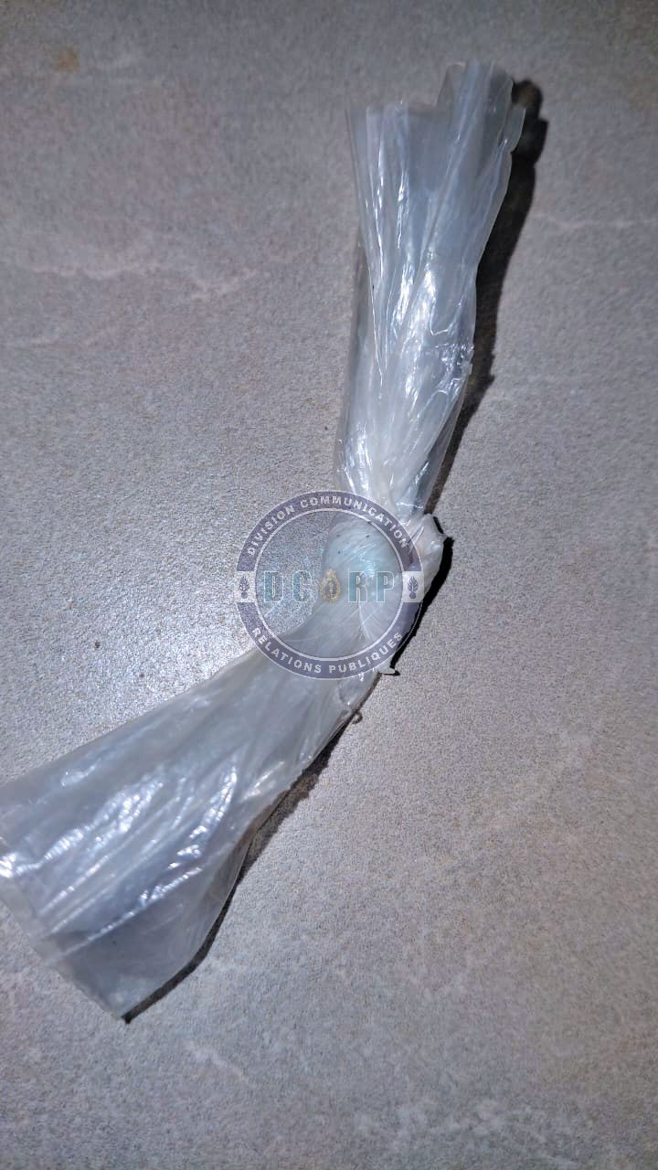 Lutte contre le trafic de drogues : des produits psychotropes saisis à BOKHODY (SARAYA) - Image 1